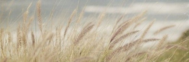 7876CED4-8BC3-4519-81A4-98756B5191A4_1_102_o